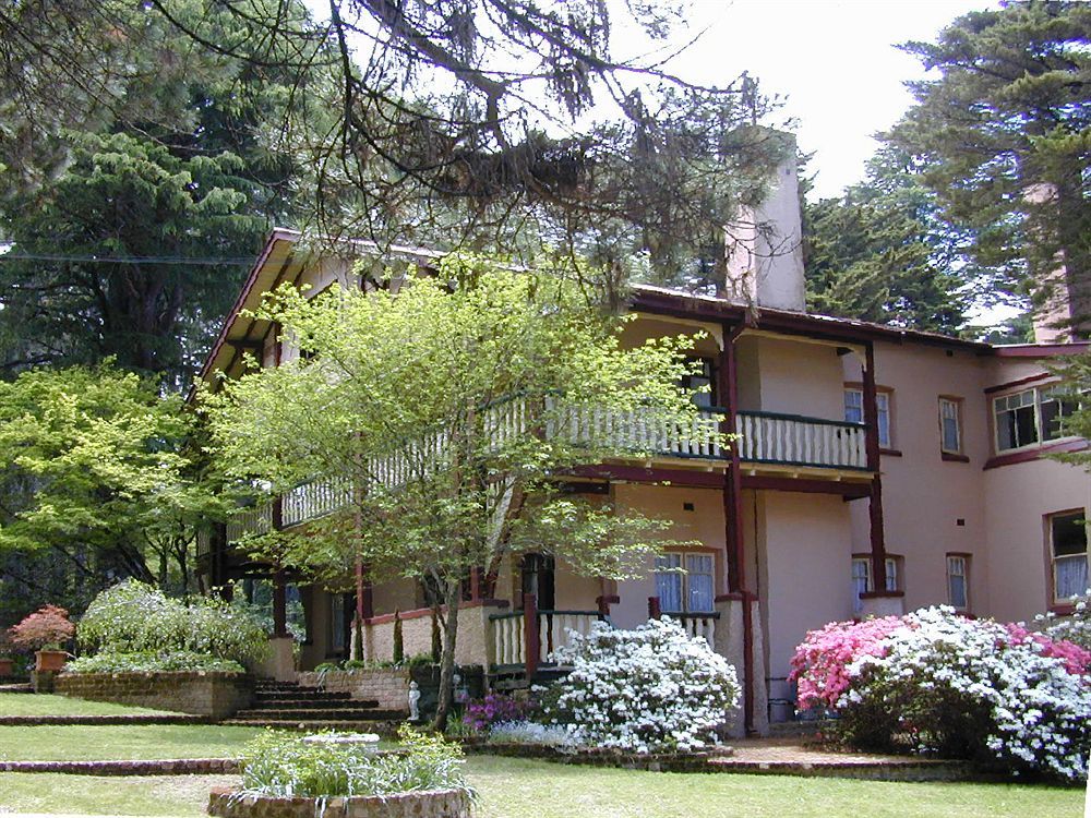 Whispering Pines Cottages Wentworth Falls Exteriör bild